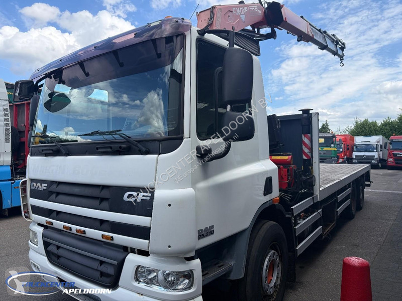 شاحنة DAF 75310 Fassi F260XP 5+2