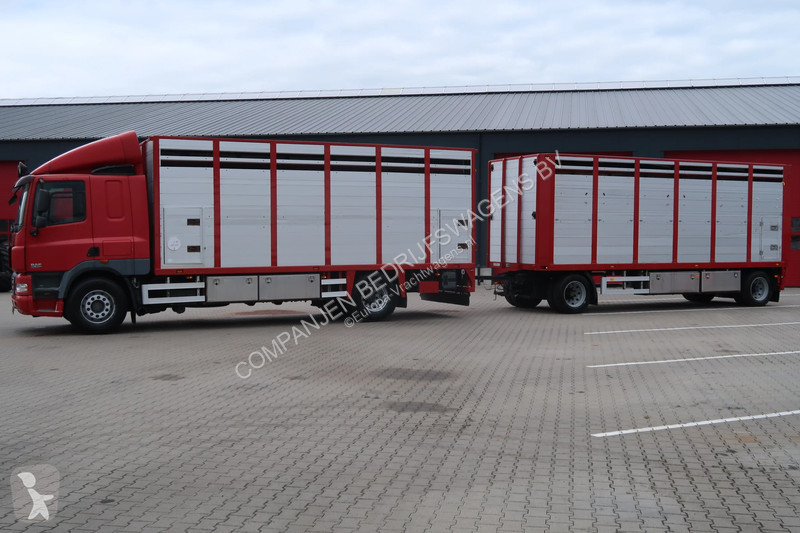 شاحنة DAF Daf+Jumbo Muller Box complete