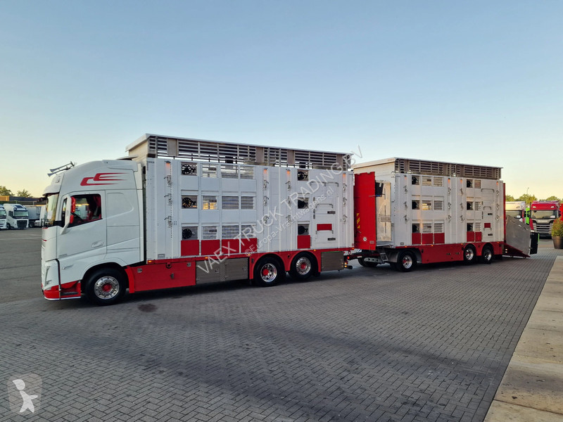 Kamion Volvo 13500 XL 6x2 - Pezzaioli livestock...