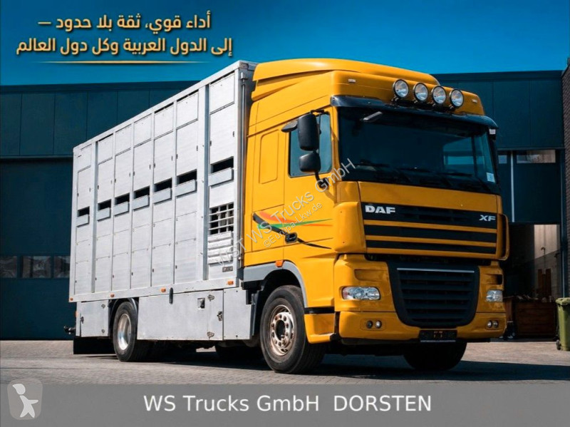 Camión DAF 410 SC Menke Doppelstock