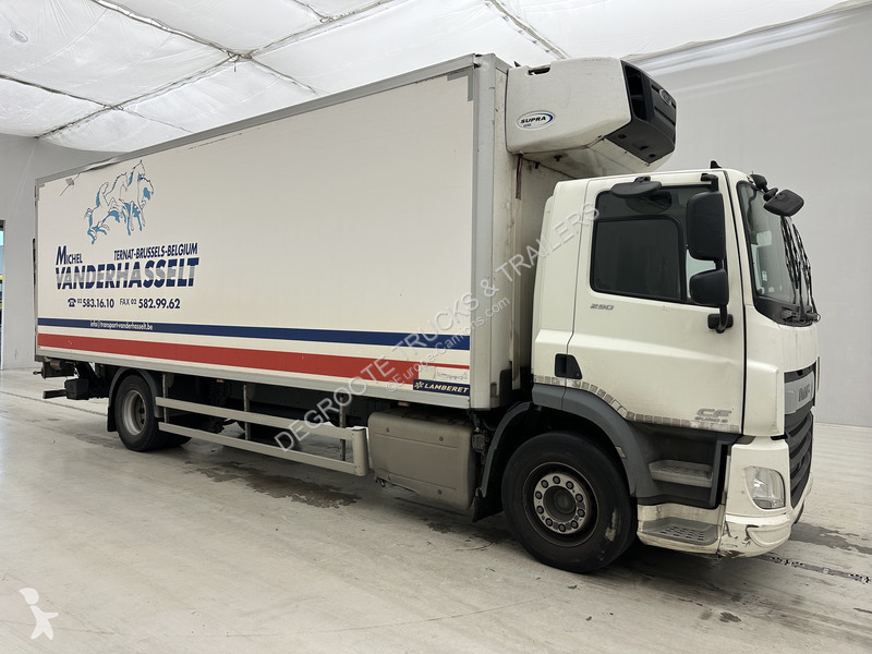 Camion DAF 290