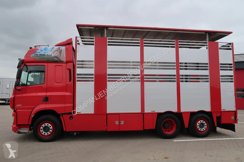 Camion DAF 480 M4SN3 - Livestock transport