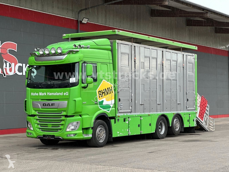 Camion DAF 480 LL 6x2 3.Stock Menke Viehwagen...