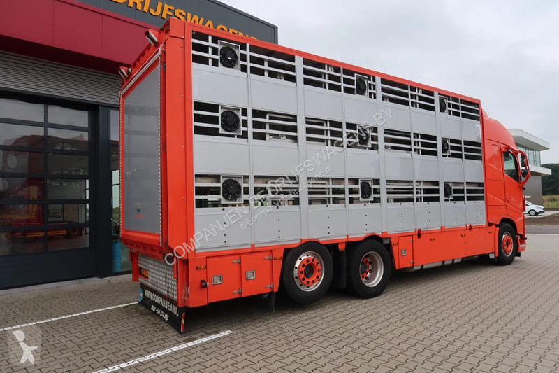 Camion Volvo FH 460 24J3C - Pig transporter