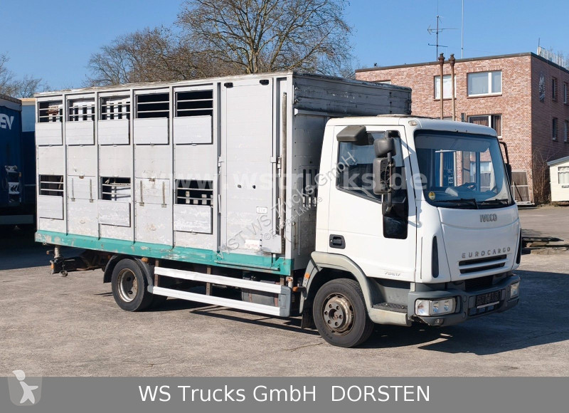 Lastbil Iveco ML 1Q Viehtransporter 1 Stock