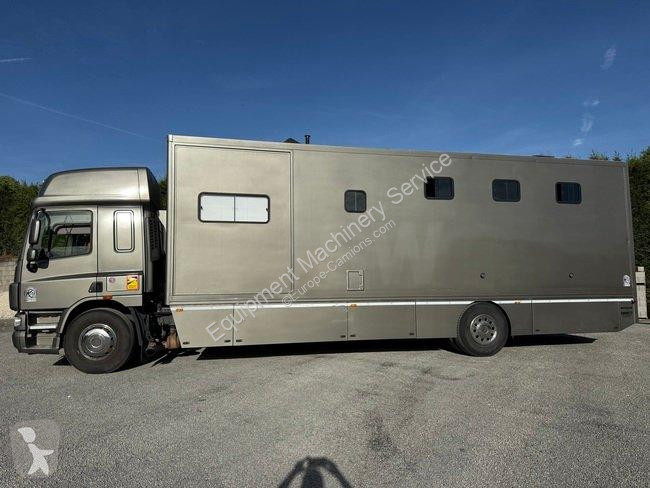 DAF VAN A CHEVAUX 7 PLACES - DAF truck