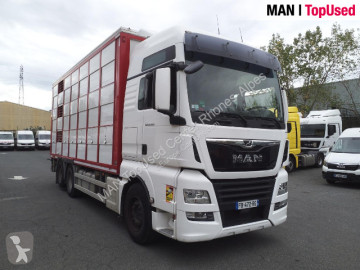 MAN horse trailer truck