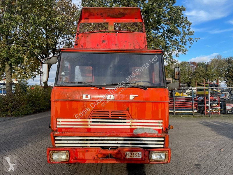Camion DAF FA DTD300 KIPPER