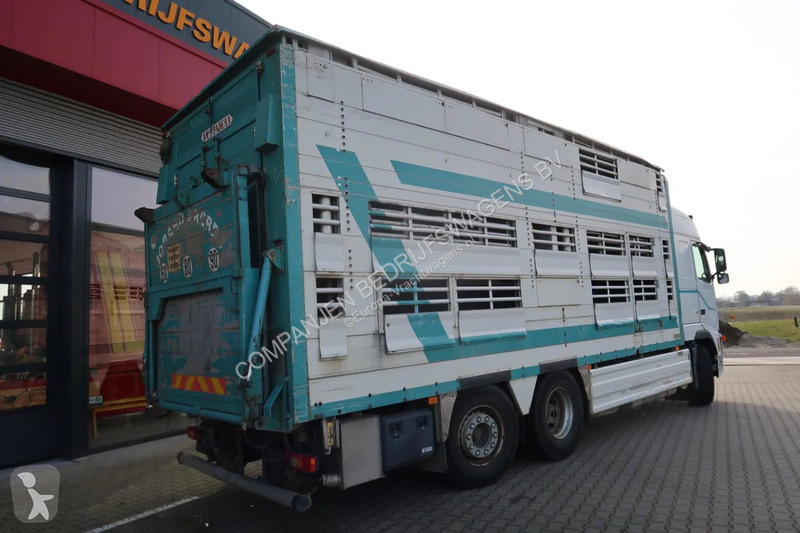 شاحنة Volvo 480  480 Cattle transport