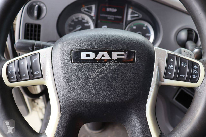 Camion DAF 480 FT