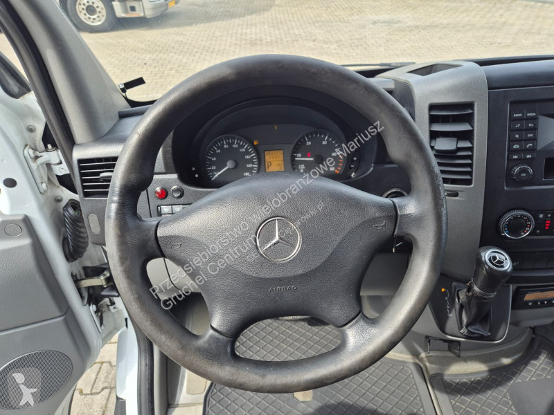 Camión Mercedes Sprinter 516 / Palfinger HDS /...