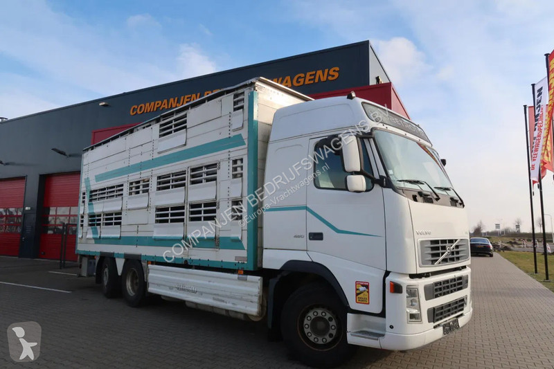 شاحنة Volvo 480  480 Cattle transport