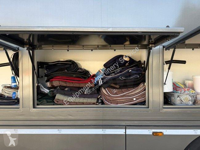 DAF VAN A CHEVAUX 7 PLACES - DAF truck