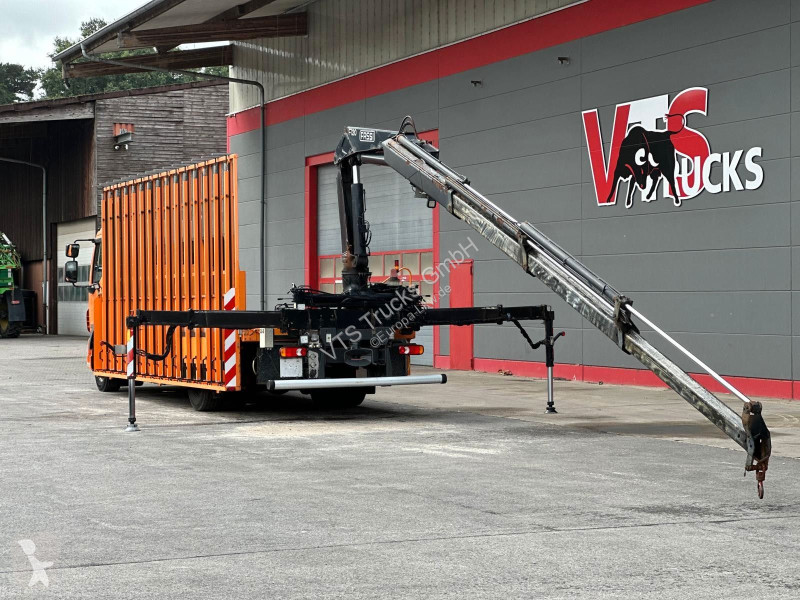 Vrachtwagen DAF 55280 4x2 BL Pritsche mit FASSI...