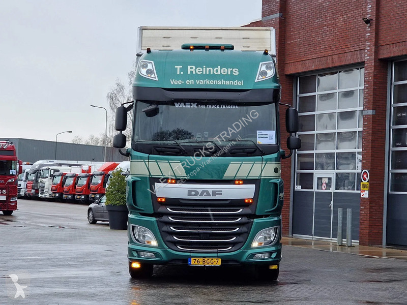 شاحنة DAF 440 SuperSpaceCab 6x2*4 - Cuppers...