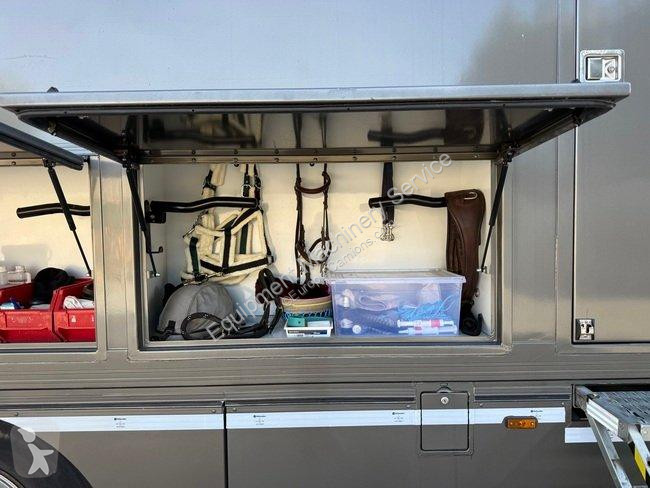 DAF VAN A CHEVAUX 7 PLACES - DAF truck