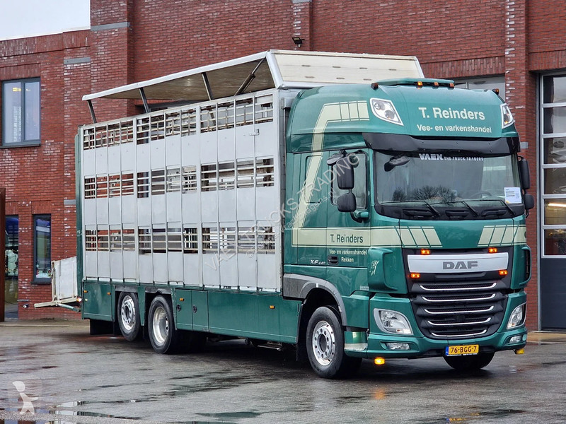 شاحنة DAF 440 SuperSpaceCab 6x2*4 - Cuppers...