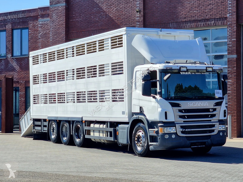 شاحنة Scania P400 8x4*4 - 2/3 deck livestock...