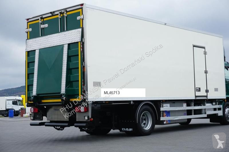 Camion DAF LF / 250 / EURO 6 / CHŁODNIA + WINDA...
