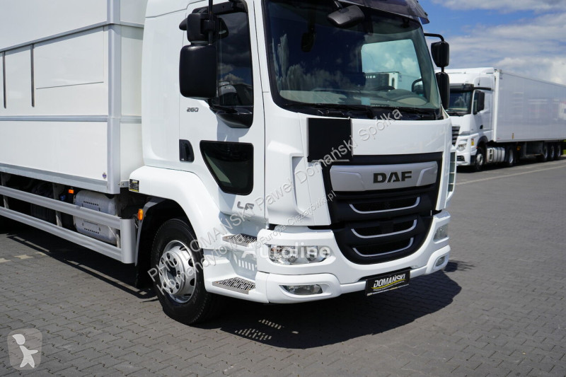 شاحنة DAF LF / 260 / EURO 6 / ACC / IZOTERMA +...