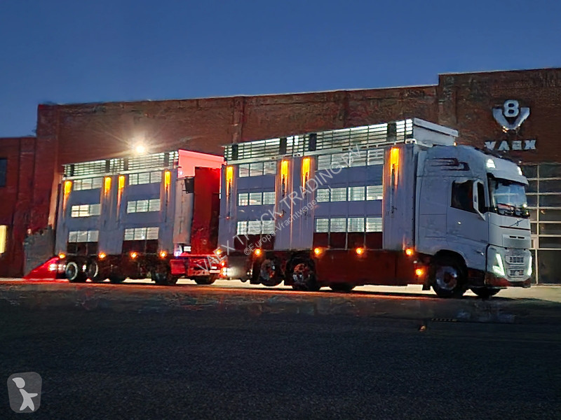 Kamion Volvo 13500 XL 6x2 - Pezzaioli livestock...