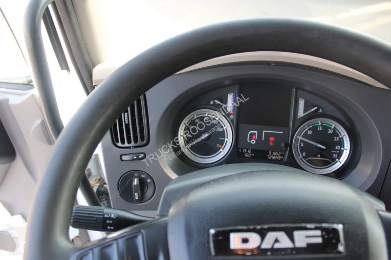Camion DAF 210 + euro 6 + lift