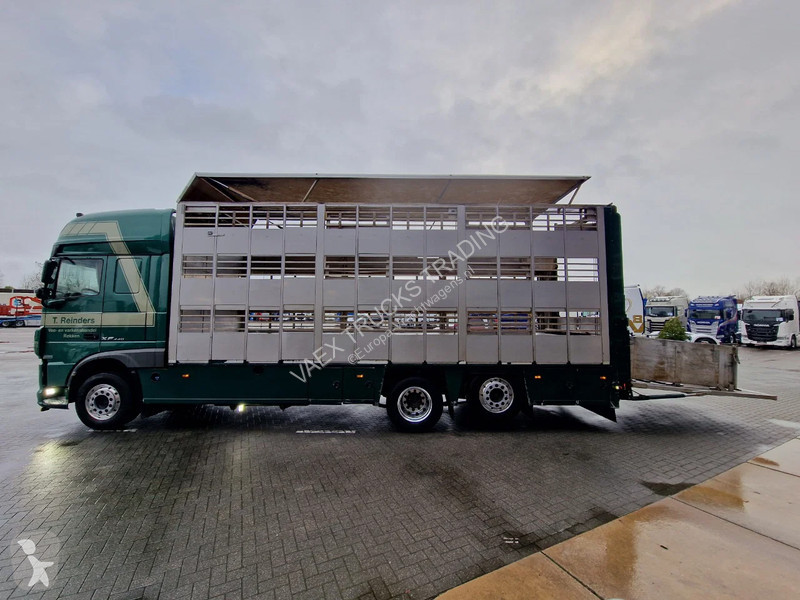 شاحنة DAF 440 SuperSpaceCab 6x2*4 - Cuppers...