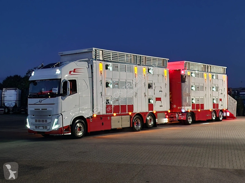Kamion Volvo 13500 XL 6x2 - Pezzaioli livestock...