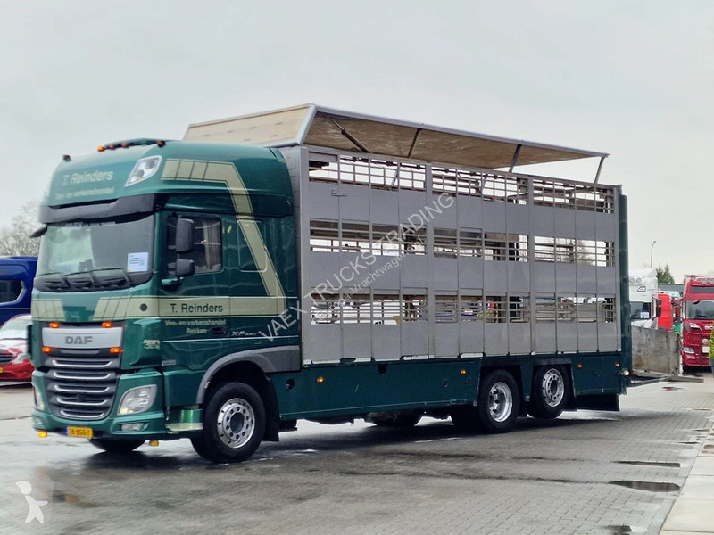 شاحنة DAF 440 SuperSpaceCab 6x2*4 - Cuppers...