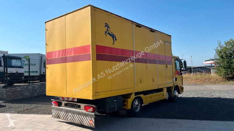 شاحنة MAN 10.180 Euro 4  Pferdetransporter Horse