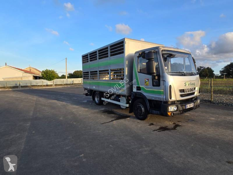 Camion Iveco