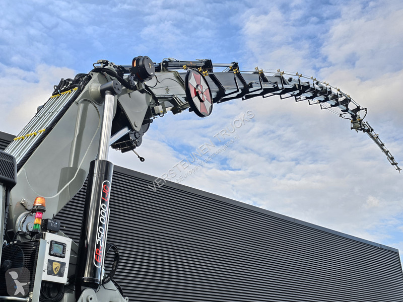 Camion Volvo / 10x4 / ERKIN 250.000 / JIB /...