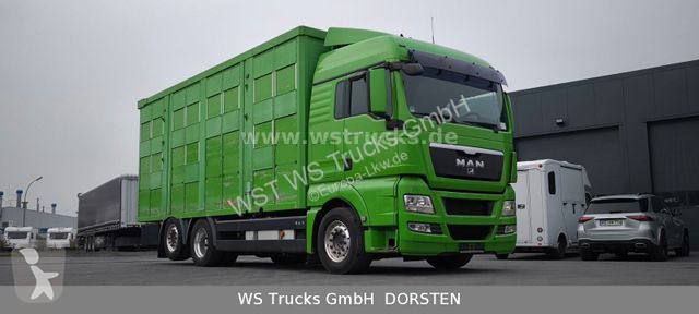 شاحنة MAN TGX XL KABA  3 Stock Viehtransporter