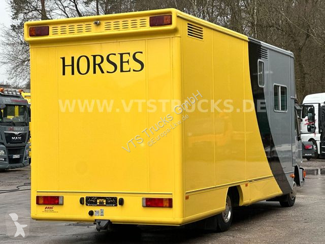 Camion Vente Aux Encheres Van Chevaux Camion Van à Chevaux