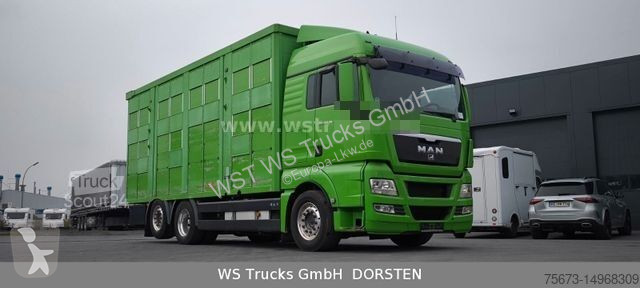 Lastbil MAN TGX XL KABA  3 Stock Viehtransporter