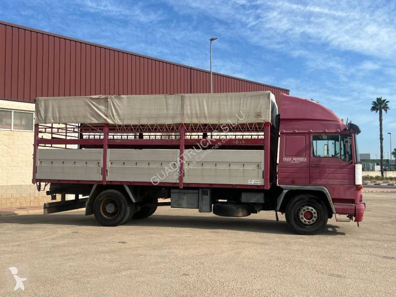 Camion Pegaso Semi Tautliner