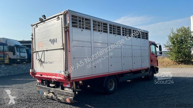 Kamion MAN TGL 10.220 Viehtransporter Rampe...