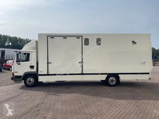 Lastbil DAF LF CLEAN HORSES NL-TRUCK