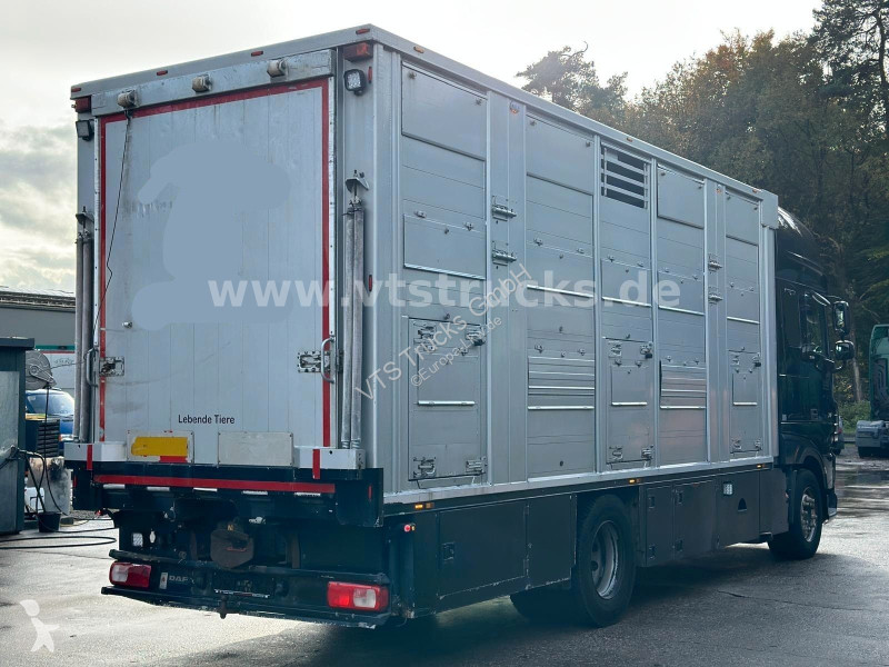 شاحنة DAF 530 4x2 Finkl 2.Stock Viehaufbau