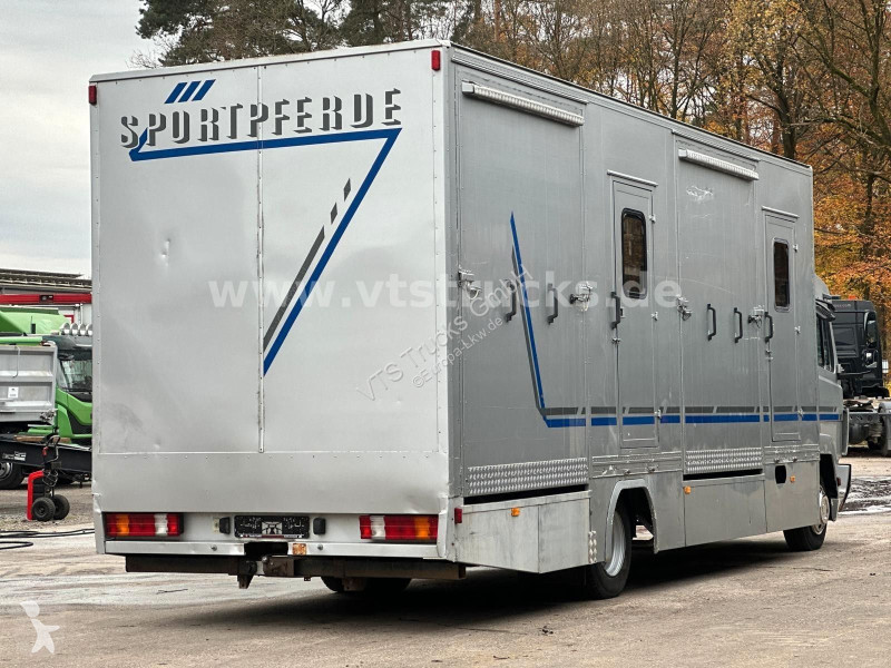 شاحنة Mercedes 4x2 4Pferdetransporter