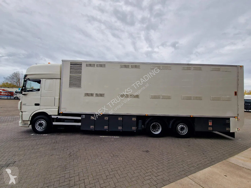 شاحنة DAF 440 SuperSpaceCab 6x2*4 - 2 deck...