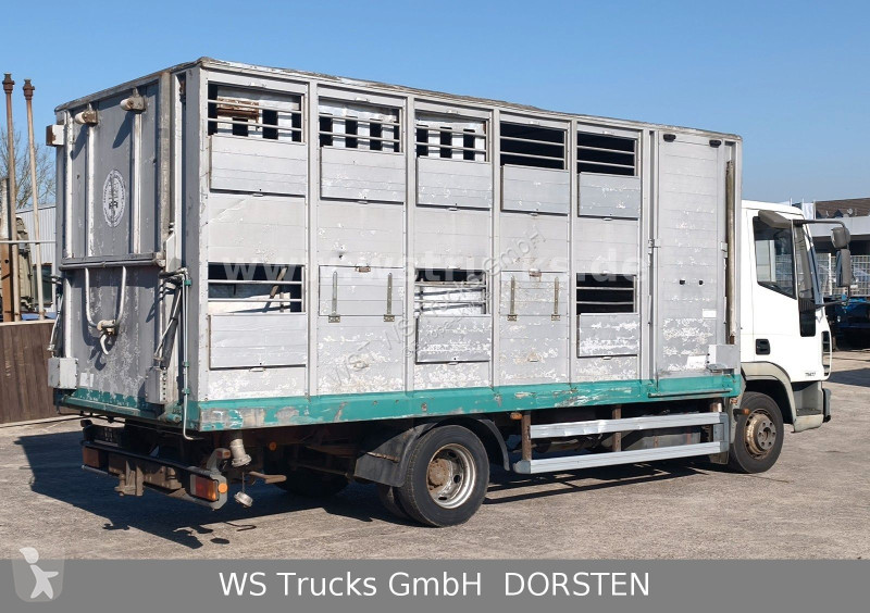 شاحنة Iveco ML 1Q Viehtransporter 1 Stock