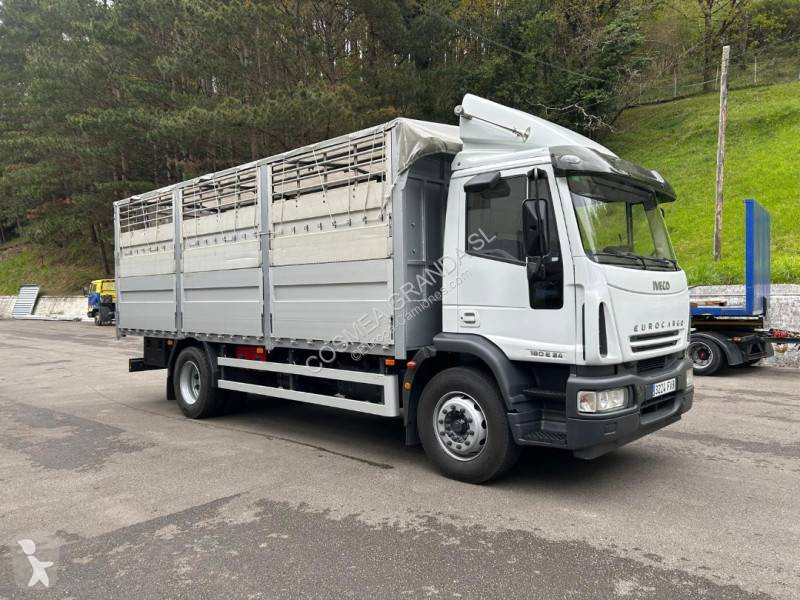 Camion Iveco