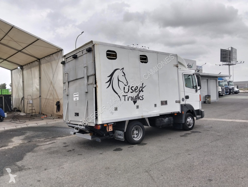 شاحنة Nissan  TRANSPORTE CABALLOS