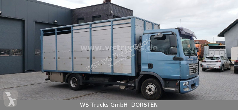 شاحنة MAN 10.210 1 Stock Viehtransporter