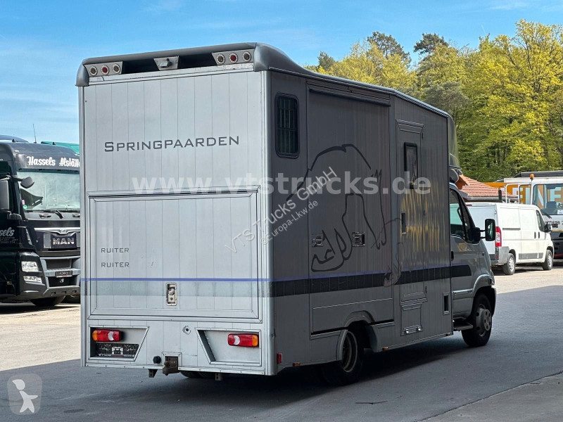 Camion Renault Maxi 160CDi BÖCKMANN 3 Pferde...