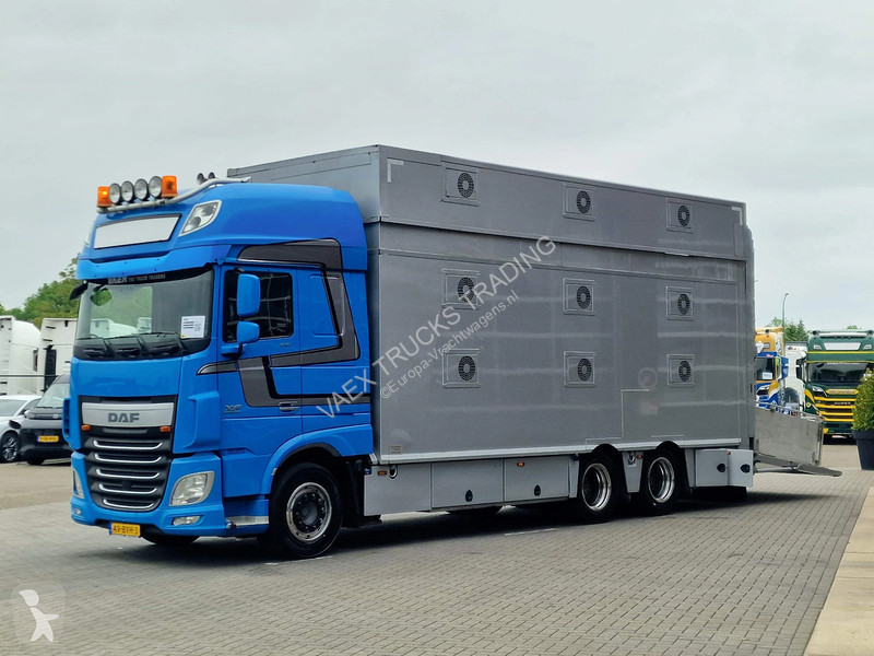 شاحنة DAF 510 6x2 SuperSpaceCab - Livestock...