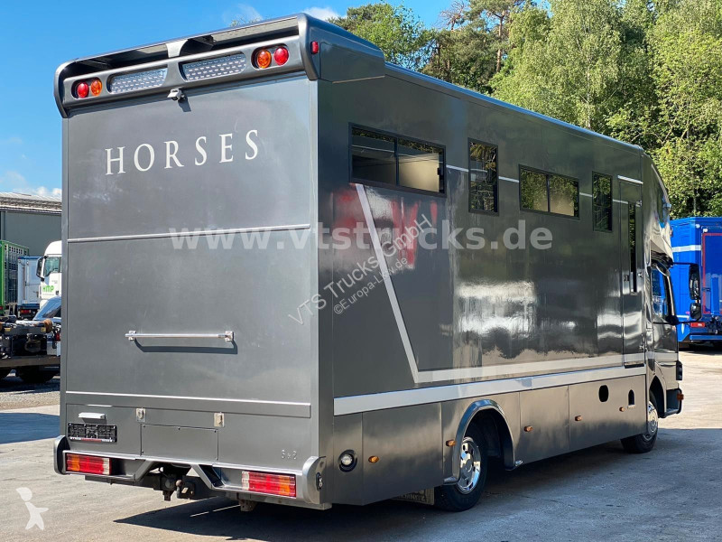 شاحنة Mercedes 818 Pferdetransporter