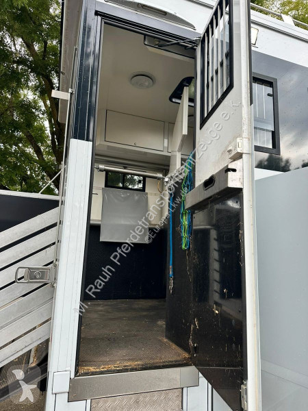 Camion Mercedes Pferdetransporter