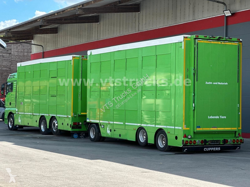 شاحنة MAN TGX 6x2 3.Stock Cuppers Komplett-Zug
